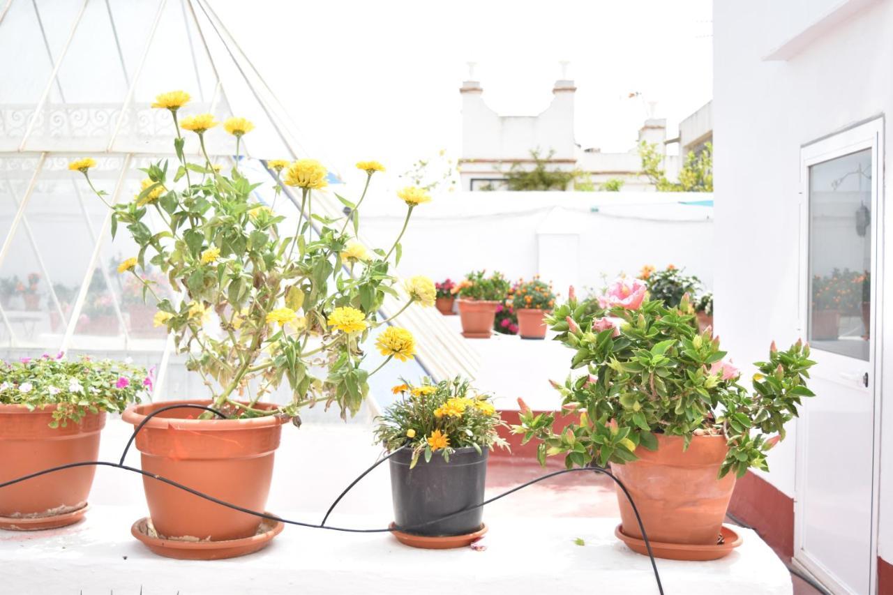 Apartamento La Discusion De Veedor 12 Cadiz Ngoại thất bức ảnh